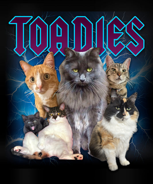 Toadies - Cats, Cats, Cats ( NEW version ) shirt